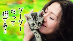 グーグーだって猫である