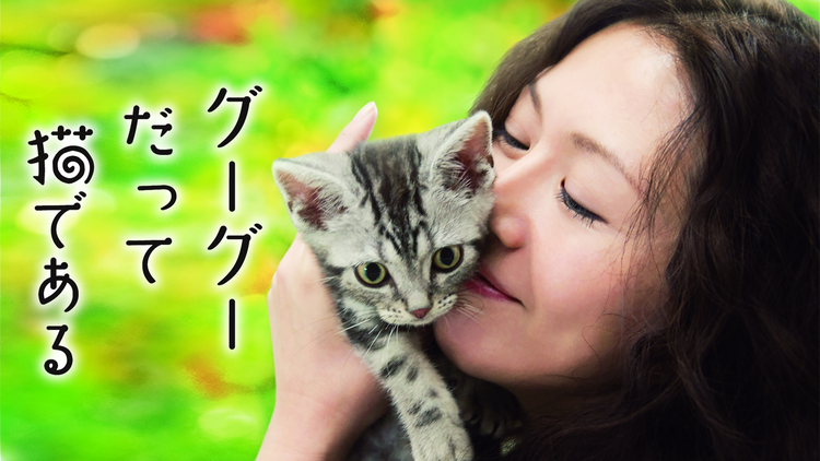 グーグーだって猫である