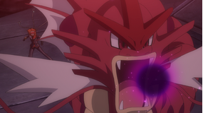 ポケットモンスターxy Z Telasa テラサ キッズ 特撮の見逃し配信 動画が見放題