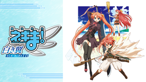 魔法先生ネギま！ ～白き翼 ALA ALBA～