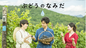 ぶどうのなみだ【大泉洋主演】