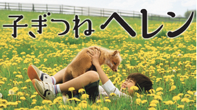 子ぎつねヘレン【大沢たかお、松雪泰子出演】