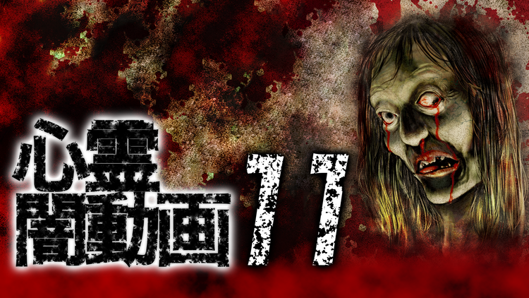 心霊闇動画11 -呪われた心霊映像集-