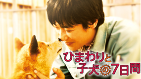 ひまわりと子犬の7日間 【堺雅人、中谷美紀出演】