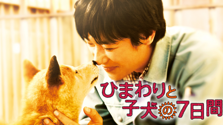 ひまわりと子犬の7日間 【堺雅人、中谷美紀出演】