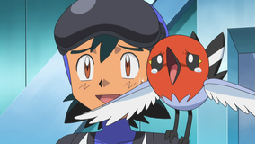 ポケットモンスターxy Telasa テラサ キッズ 特撮の見逃し配信 動画が見放題