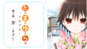 たまゆら -卒業写真-