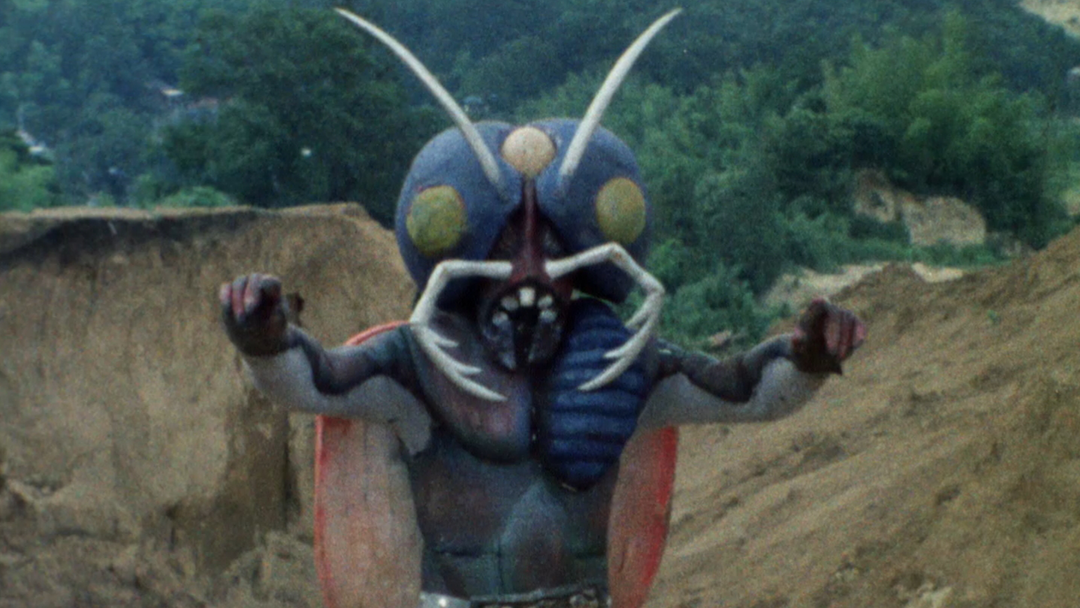 仮面ライダー　ショッカー　蝙蝠男　ヤモゲラス　蜂女　コブラ男　サボテグロン　5点 仮面ライダー ショッカー 蝙蝠男 ヤモゲラス 蜂女 コブラ男