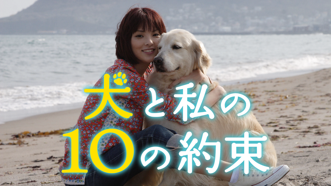 犬と私の10の約束｜映画・ドラマ・アニメの動画はTELASA